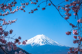 市丸银：剑道场的守护神