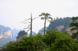 张家界旅游景点全景图-探索神秘的南天一柱